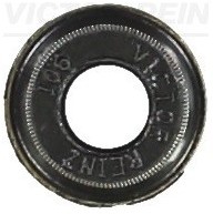 REINZ Uszczelniacz, trzonek zaworu 70-31306-00