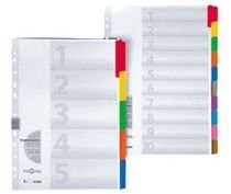 Pagna 31001  08 Index, A4, 10-częściowy, biały 31001-08
