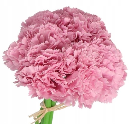 Goździk Bukiet Goździków Sztuczne Kwiaty 24CM 6GAŁ
