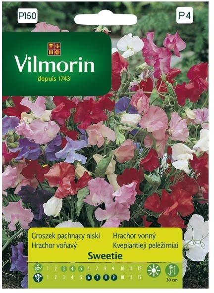 Vilmorin Nasiona groszek pachnący Sweetie mieszanka