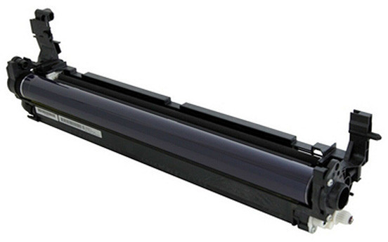 Ricoh D2442209
