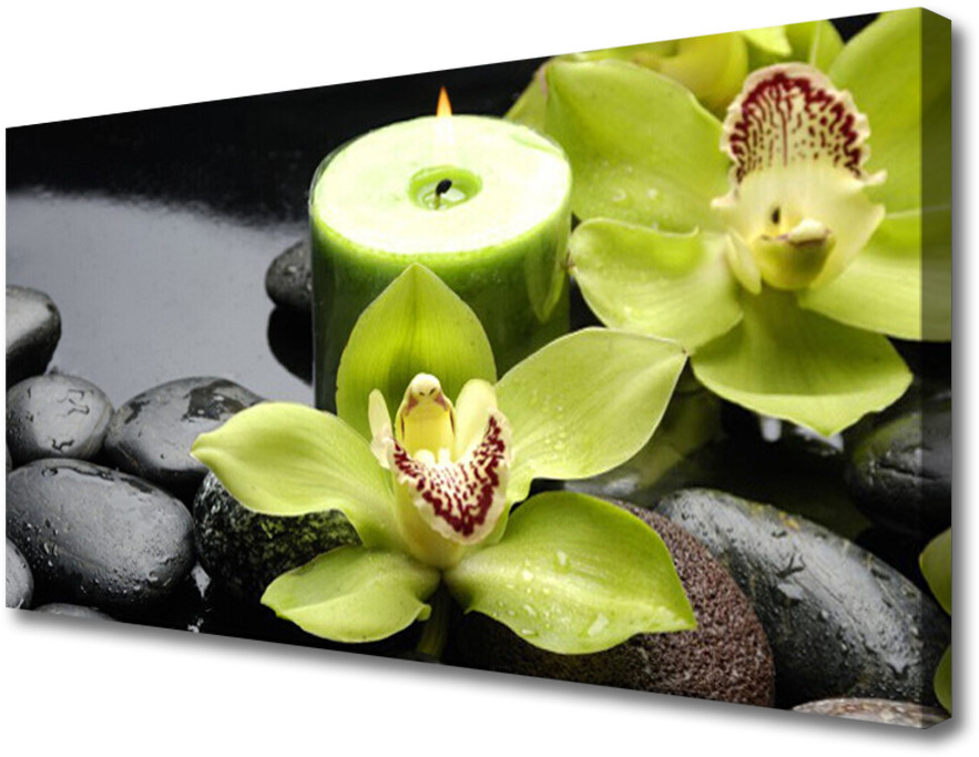 PL Tulup Obraz Canvas Orchidea Kwiaty 120x60cm