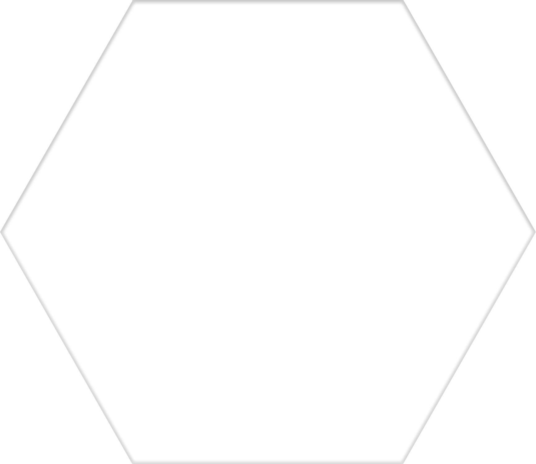 Codicer Hex 25 Basic White 22x25 Płytki heksagonalne