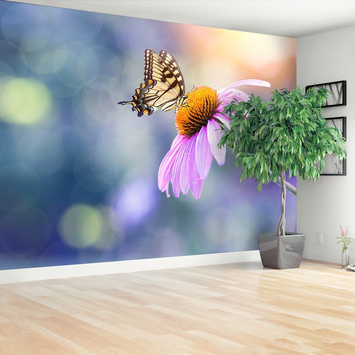 Fototapeta Echinacea Motyl