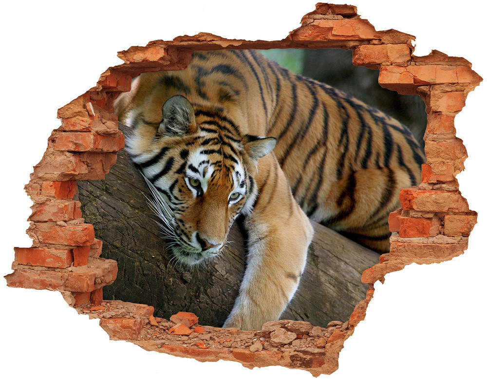 Wallmuralia.pl Dziura 3d fototapeta naklejka Tygrys na drzewie