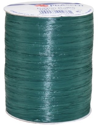Unbekannt Present - RAYON RAFFIA taśma do majsterkowania - jodłowa zieleń - szpula 100 m 133-035