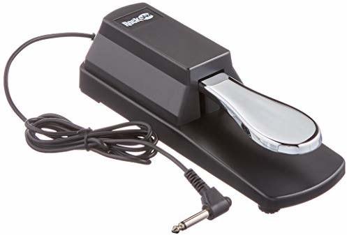 Rockjam RockJam RJSP01 profesjonalny pedał podtrzymujący do pianinów cyfrowych i elektronicznych klawiatur z przełącznikiem polaryzacyjnym RJSP01