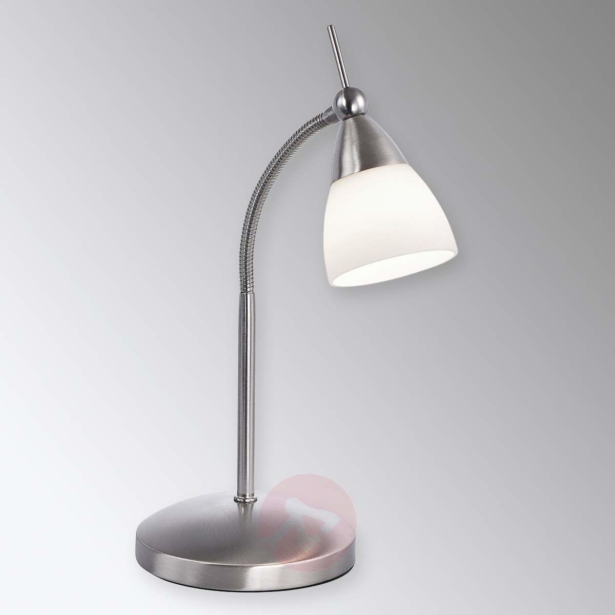 Paul Neuhaus Oświetlenie PINO Lampa stołowa LED Stal nierdzewna, 1-punktowy 4001-55