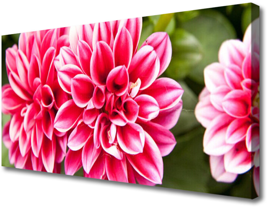 PL Tulup Obraz Canvas Kwiaty Roślina Natura 125x50cm