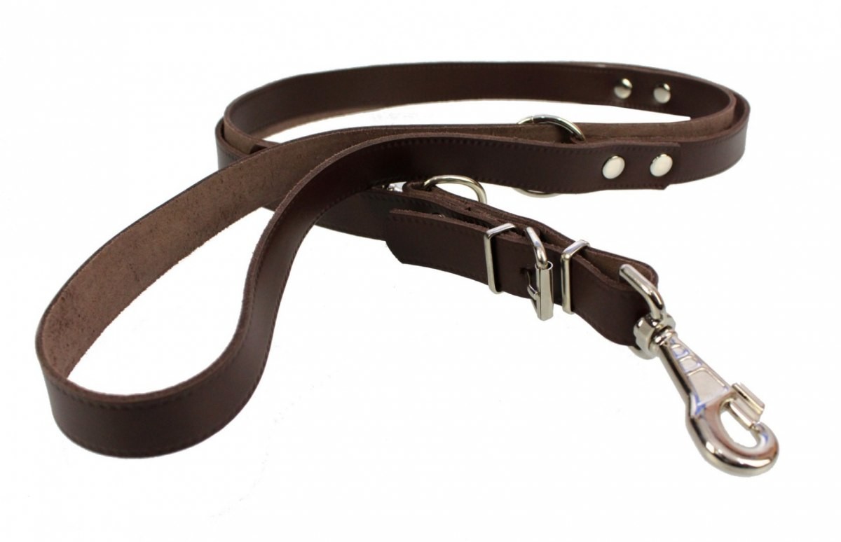 Haas F1 Team ZOO LESZCZ (PL) Soldina Dla Psa Taśma Regulowana Skóra Naturalna 20 mm ZL0134 ZOOLESZCZ (PL)