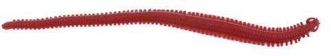 Berkley GULP. Alive. Piasek WORM Bloody 15 cm GAPSW6-BY
