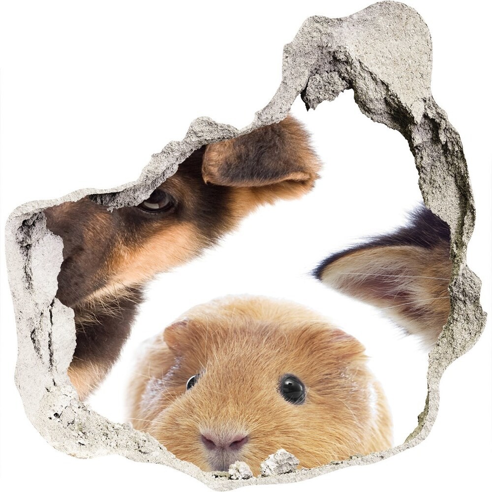Wallmuralia.pl Dziura 3d fototapeta naklejka Zwierzęta domowe