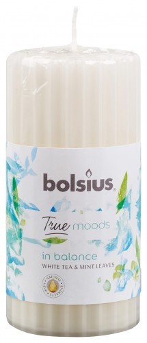 Bolsius True Moods Świeca pieńkowa zapachowa 120/58 In Balance