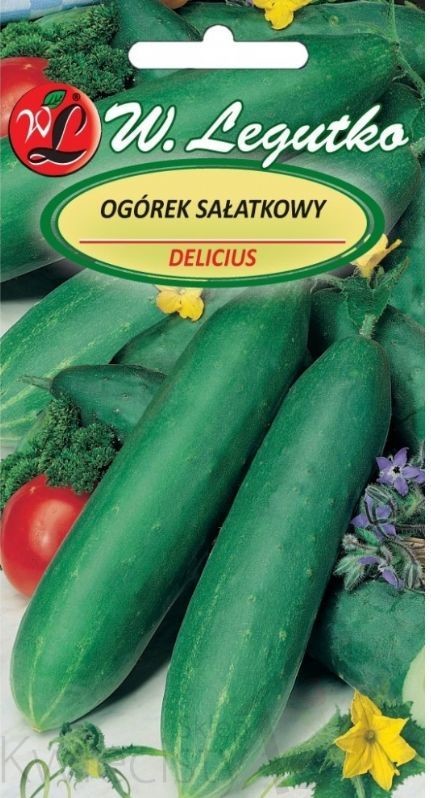 Legutko sp. z o.o Nasiona Ogórek gruntowy sałatkowy Delicius, 5g