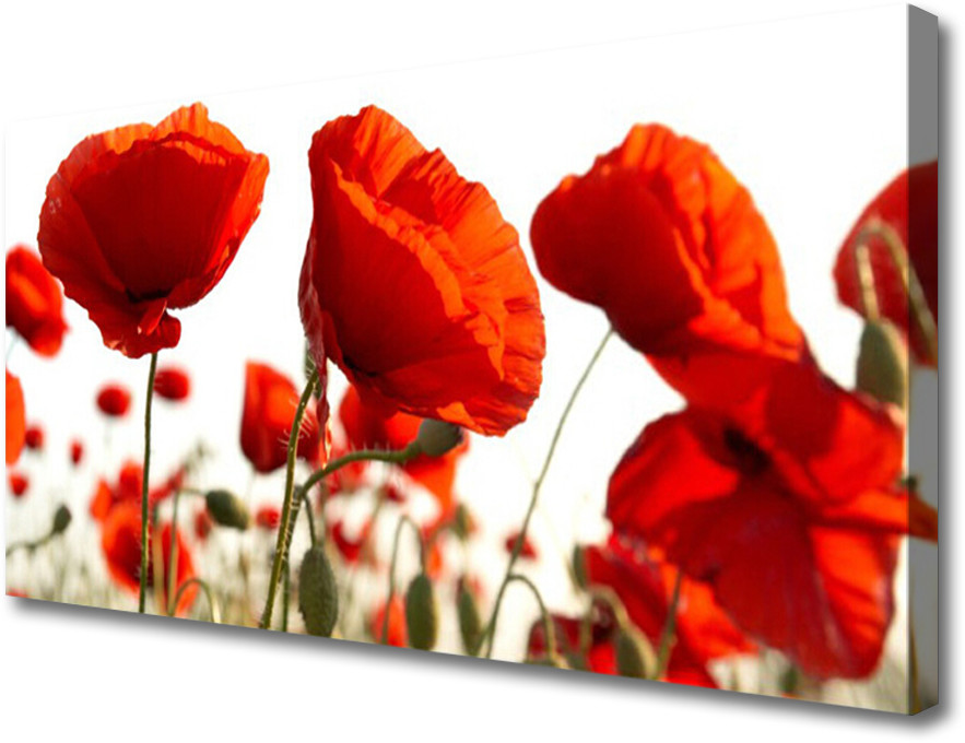 PL Tulup Obraz na Płótnie Tulipany Kwiaty 100x50cm