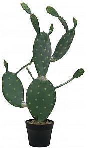 Europalms EUROPALMS Kaktus nopal, sztuczna roślina, 76 cm 82600064