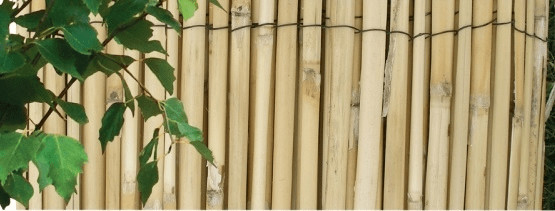 NOHEL GARDEN mata trzcinowa 1 x 5 m # z wartością produktów powyżej 89zł!
