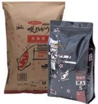 Hikari białonosa-hikari (miasto) 