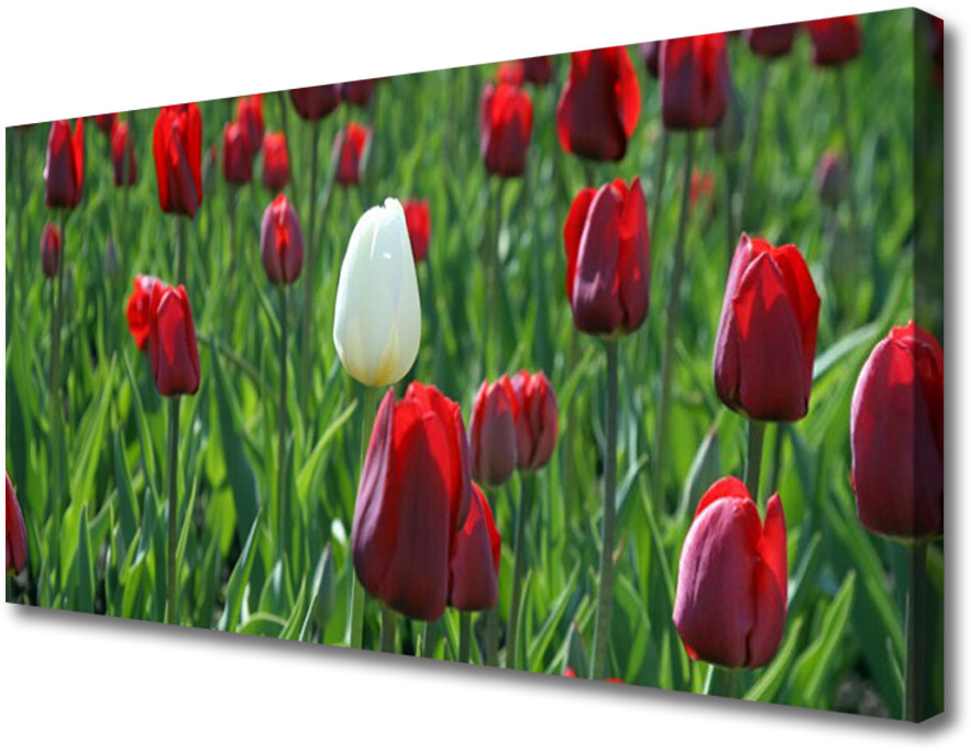 PL Tulup Obraz Canvas Tulipany Kwiaty Natura 140x70cm