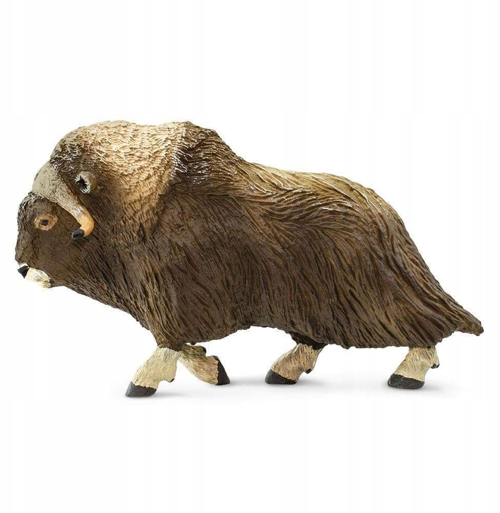 Safari Wół Piżmowy - Muskox - Ltd. - 100095