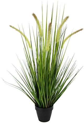 Flair Flower lisi ogon do trawy w doniczce 151031GN