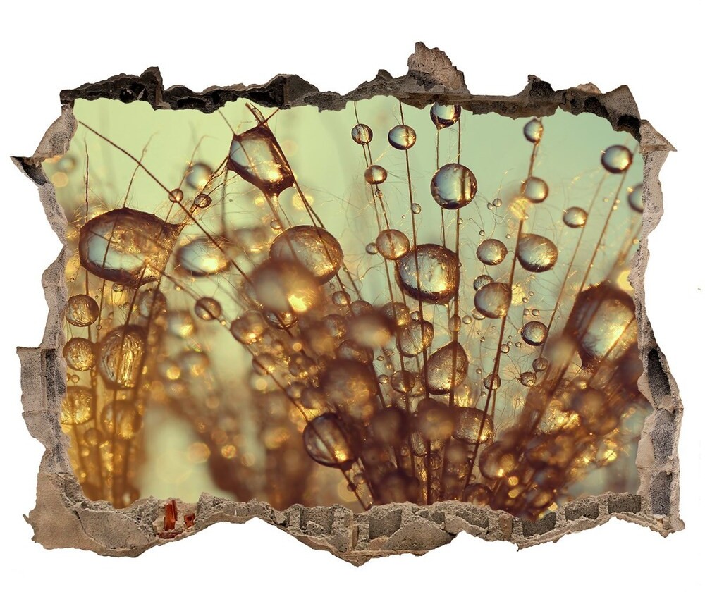 Wallmuralia.pl Samoprzylepna dziura na ścianę Ornamenty
