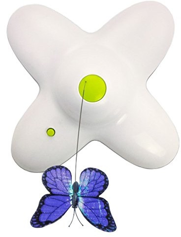 AFP służy do zabawy z kotem 