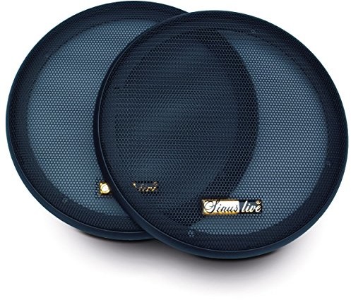 ProfiHiFi Sinuslive 10496 G-16I głośnik kratka blacha perforowana grill 13 cm, Set of 2 52510496