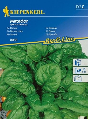 Kiepenkerl Szpinak Matador Spinacia oleracea 102379