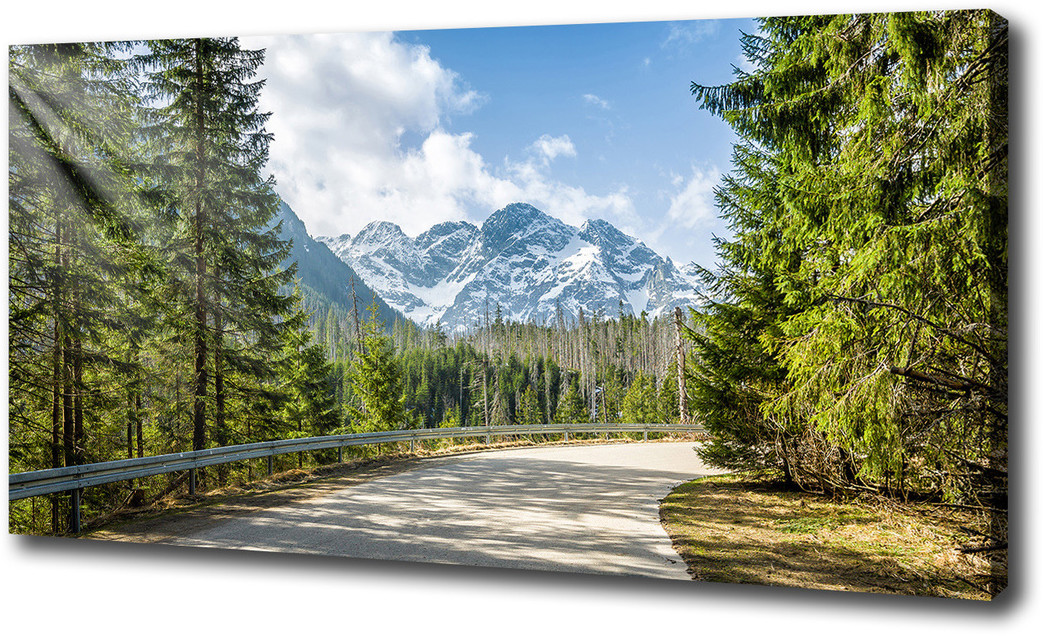 Foto obraz canvas Droga Tatry