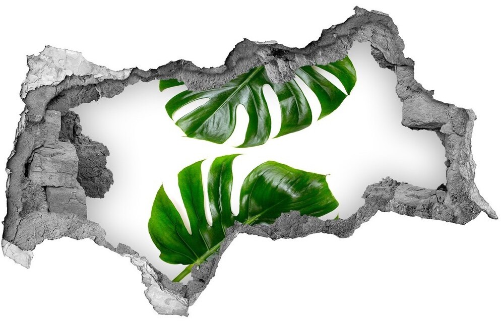 Wallmuralia.pl Naklejka 3D dziura beton Tropikalne liście