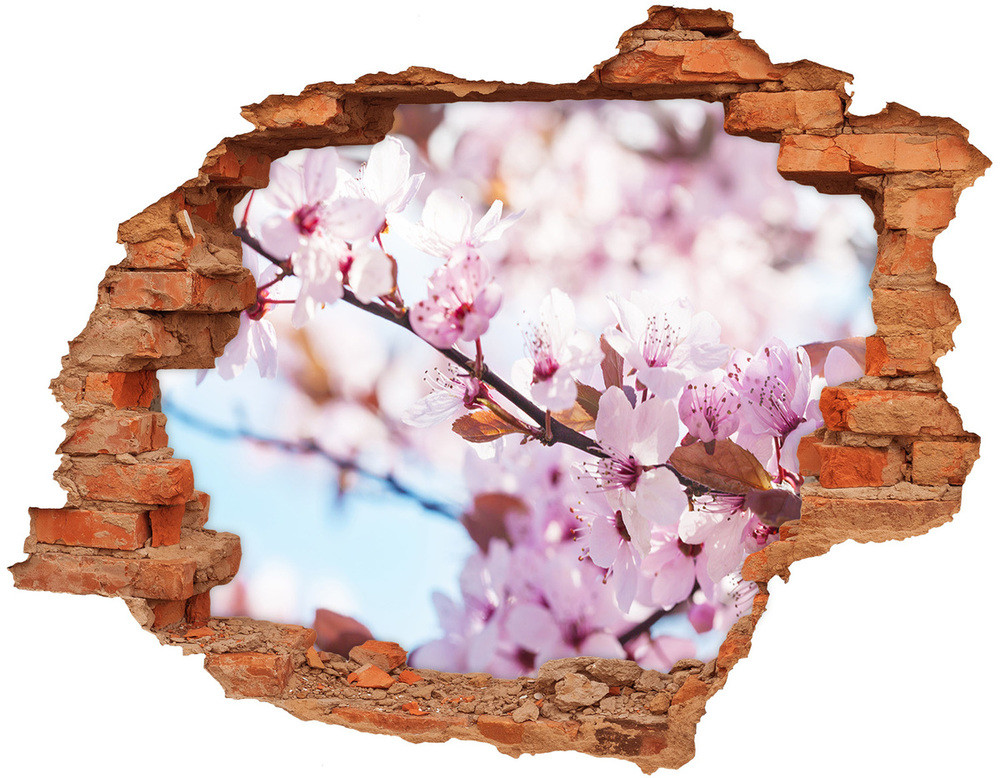Wallmuralia.pl Samoprzylepna dziura naklejka Kwiaty wiśni