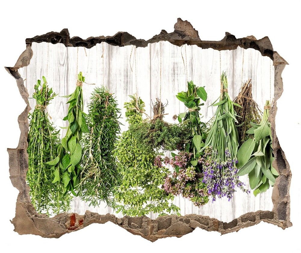 Wallmuralia.pl Samoprzylepna naklejka Zioła na sznurku