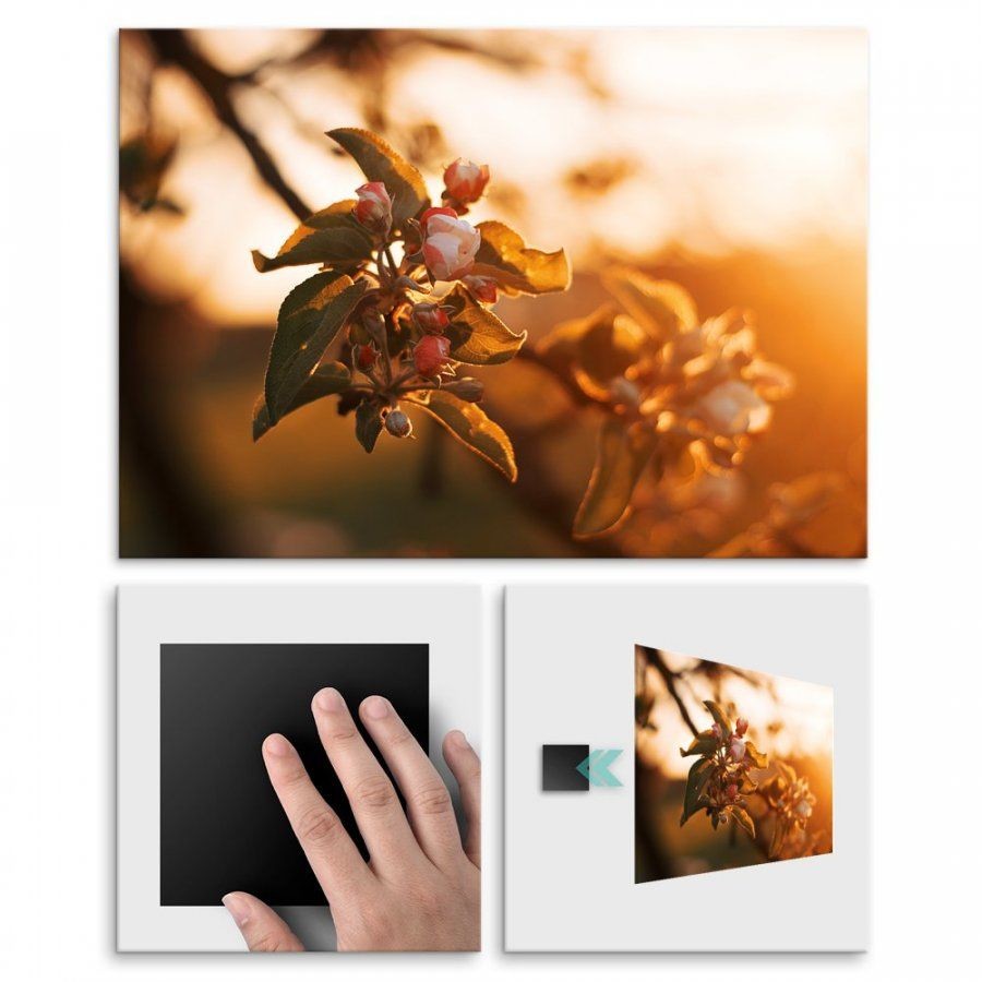 Pix4home Plakat metalowy w świetle słońca M POS-M-01446