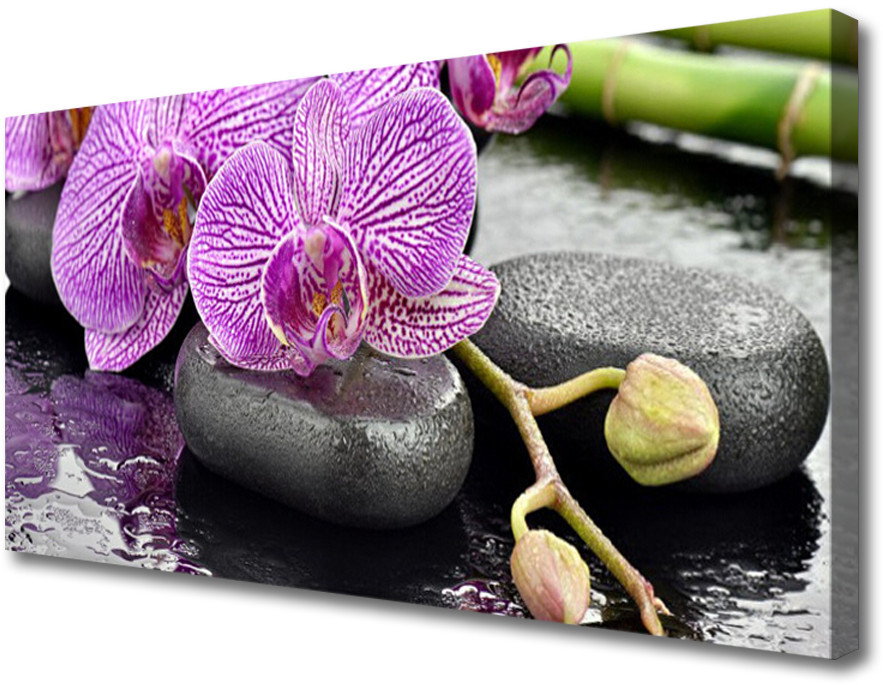 PL Tulup Obraz Canvas Storczyk Zen Orchidea Spa 140x70cm