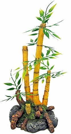 Wave a8011680 Japan Bamboo roślina