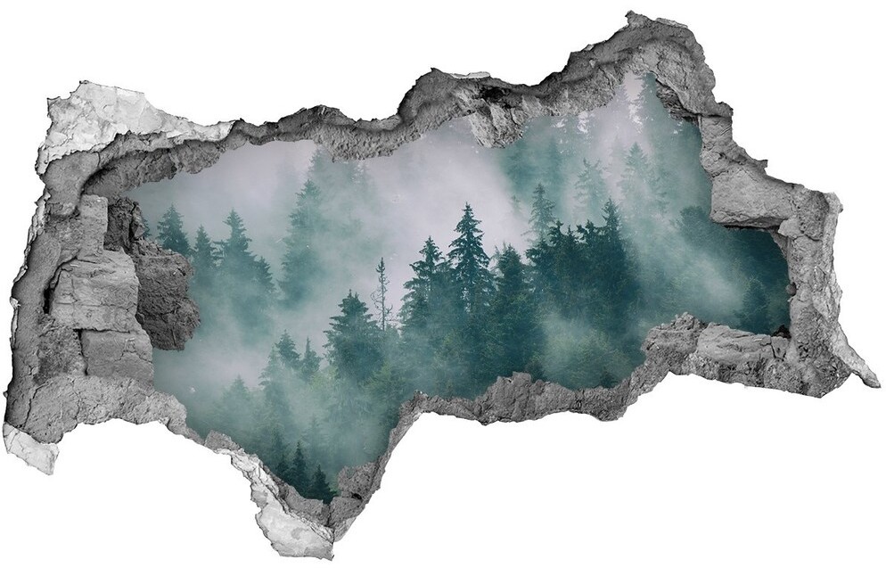 Wallmuralia.pl Dziura 3d w ścianie naklejka Mgła nad lasem