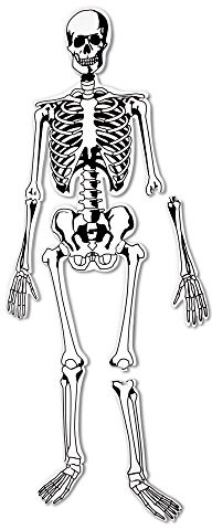 Learning Resources Learning Resources Puzzle podłogowe z pianki szkieletowej LER3332