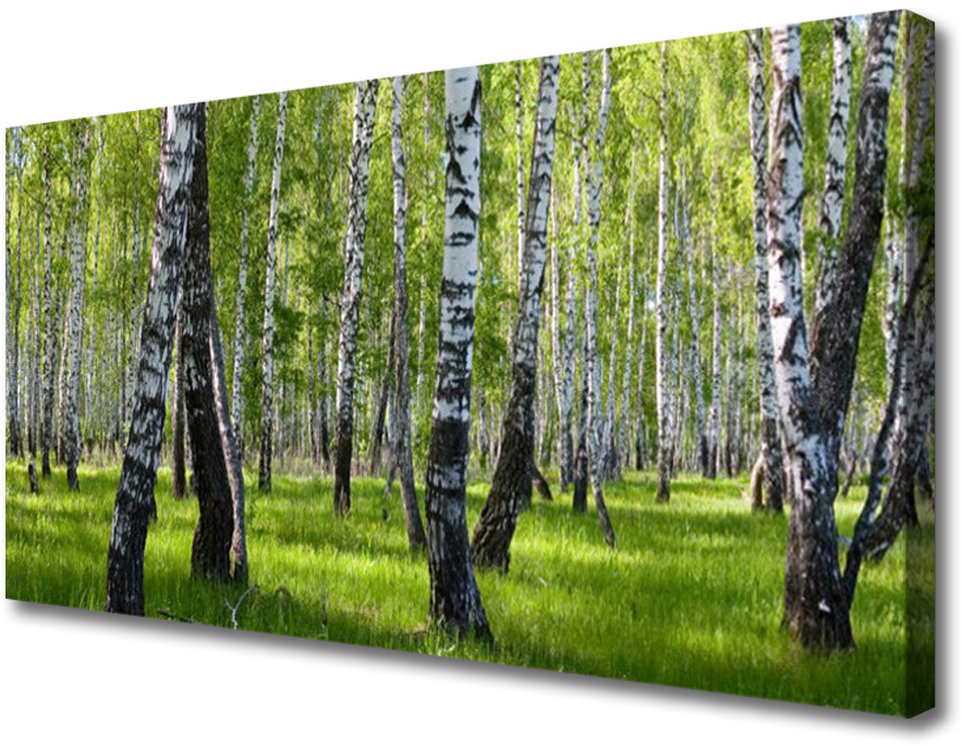 PL Tulup Obraz na Płótnie Las Drzewa Natura 120x60cm