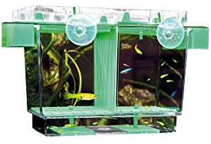 Hobby wing 61360 Nido II, ablaichbehaelter, 21 x 16 x 14 cm