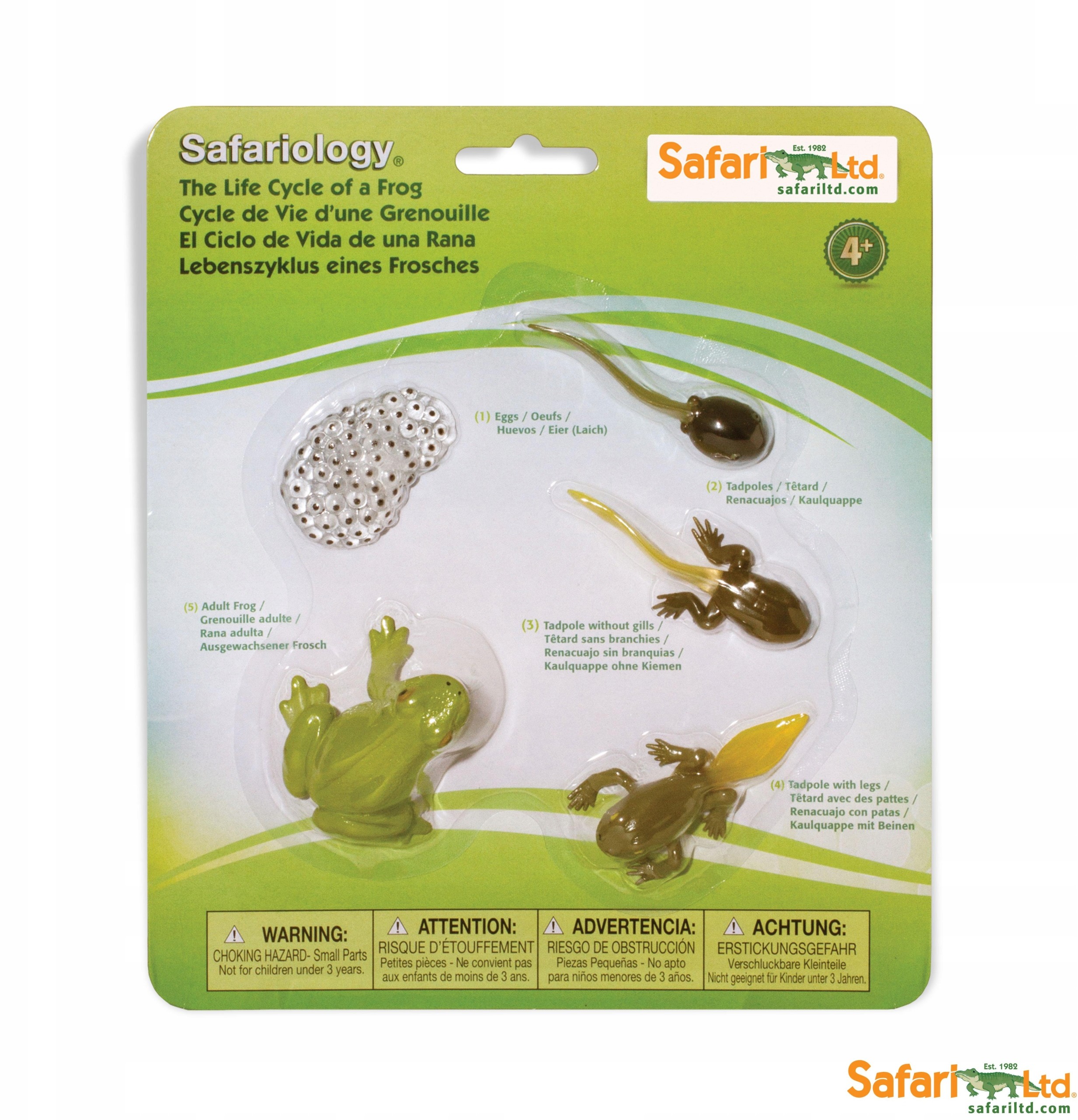 Safari Ltd Cykl życia żaby Montessori