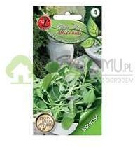 Legutko Pędy grochu cukrowego 20g Baby Leaf