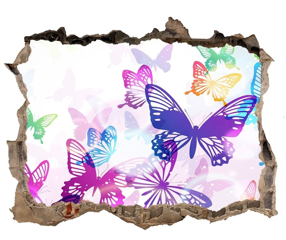Wallmuralia.pl Dziura 3d fototapeta na ścianę Kolorowe motyle