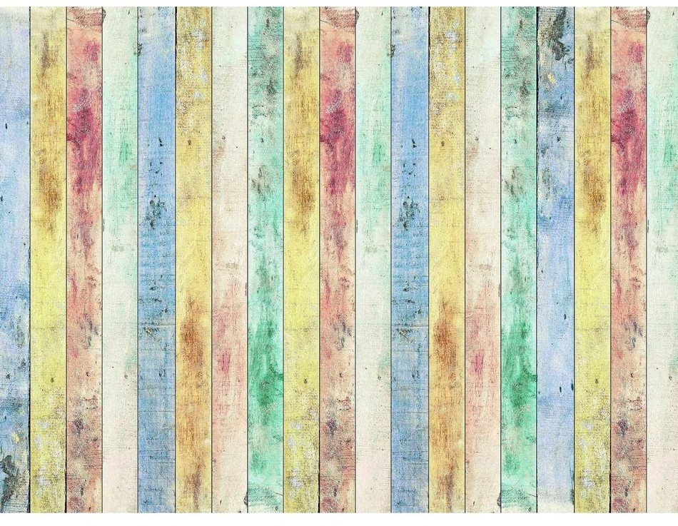 Fototapeta XXL Rayas 360 x 270 cm, 4 części