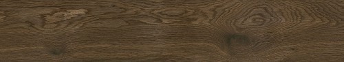 Cerrad Giornata Marrone 11x60
