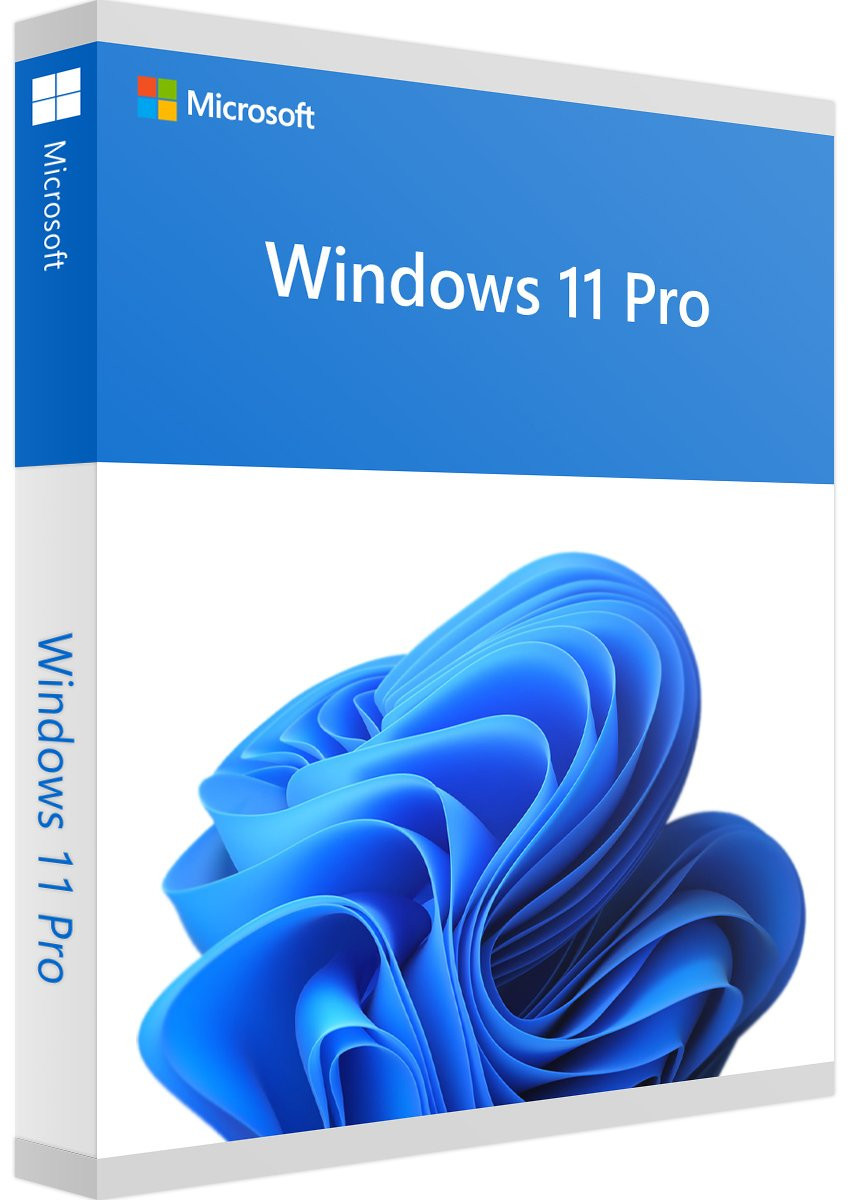 Microsoft Windows 10/11 Pro