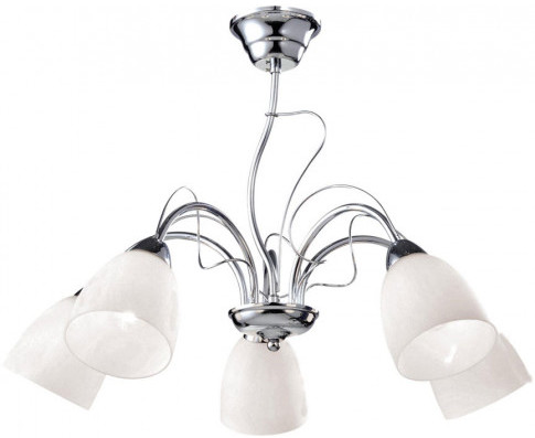 Klasyczny żyrandol z 5 szklanymi kloszami - 4X S121 Z6-T65