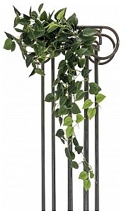 Europalms EUROPALMS krzew pothos classic, sztuczny, 100 cm 82502203