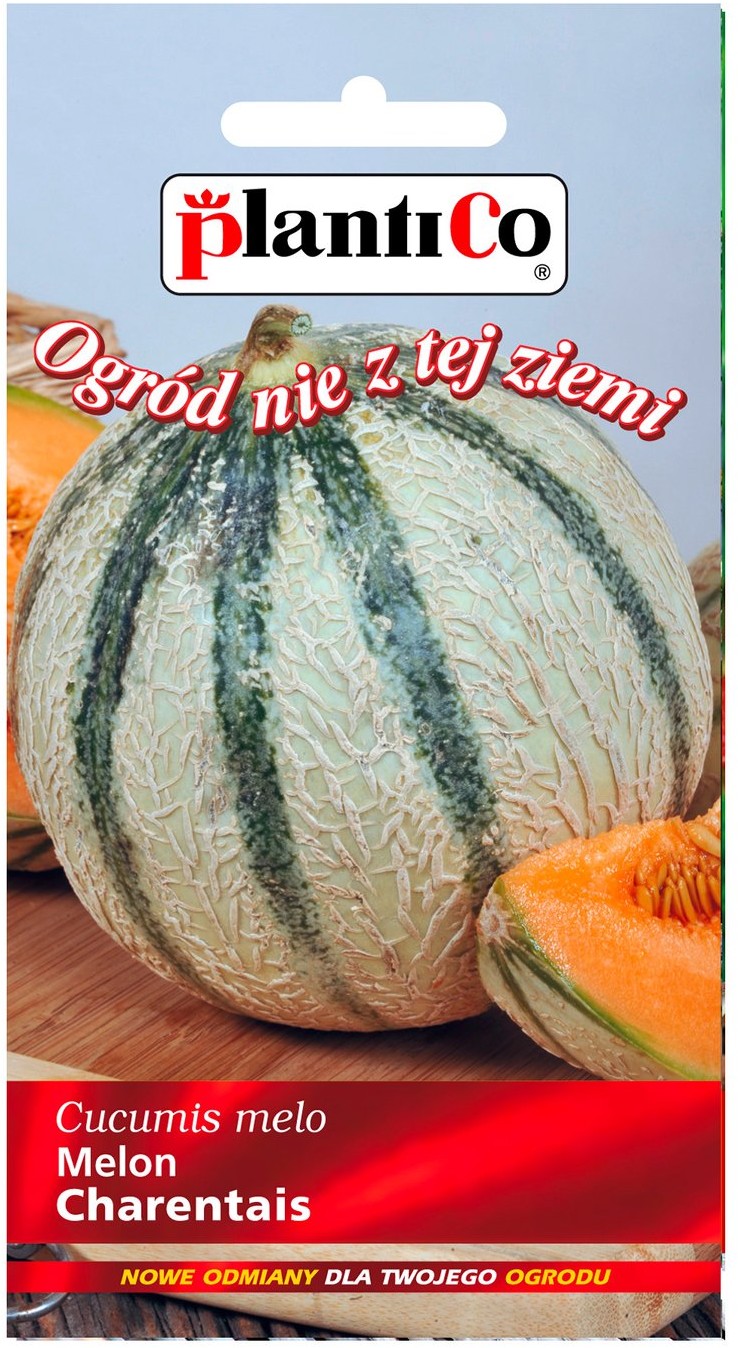 Plantico Melon Charentais