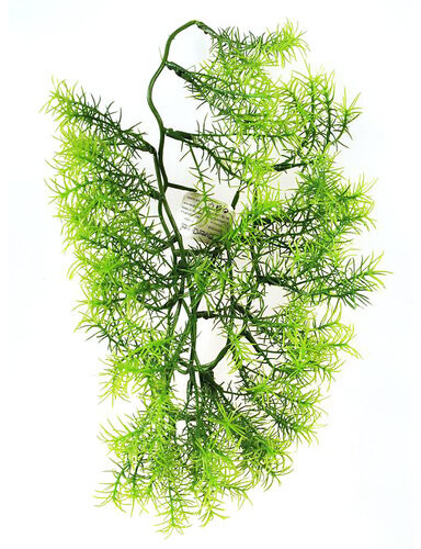 Sztuczny kwiat Asparagus, 40 cm
